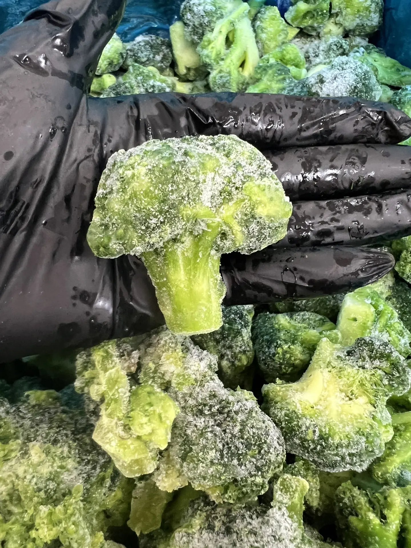 🥦 БРОККОЛИ