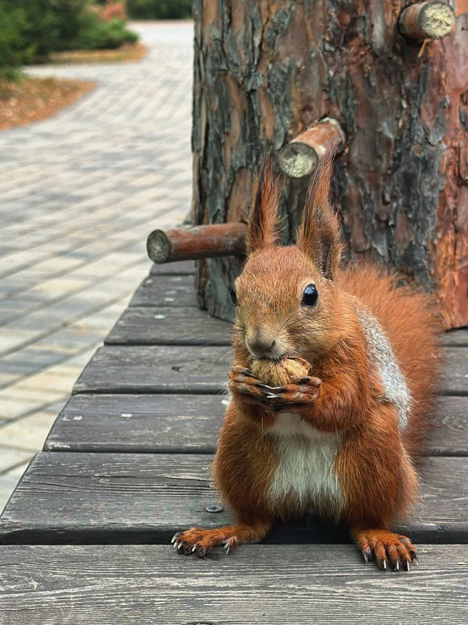 Зоопарк переходит на зимний режим работы🍁