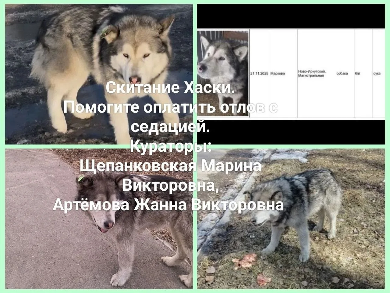 🆘🆘🆘 Срочно!!! Уважаемые земляки❗