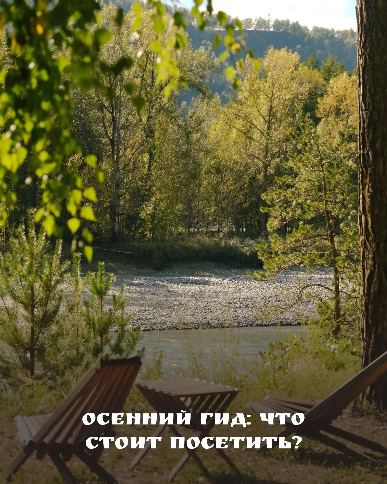 Осенний Алтай — будто другой мир. Катунь становится бирюзовой и прозрачной, а деревья в...