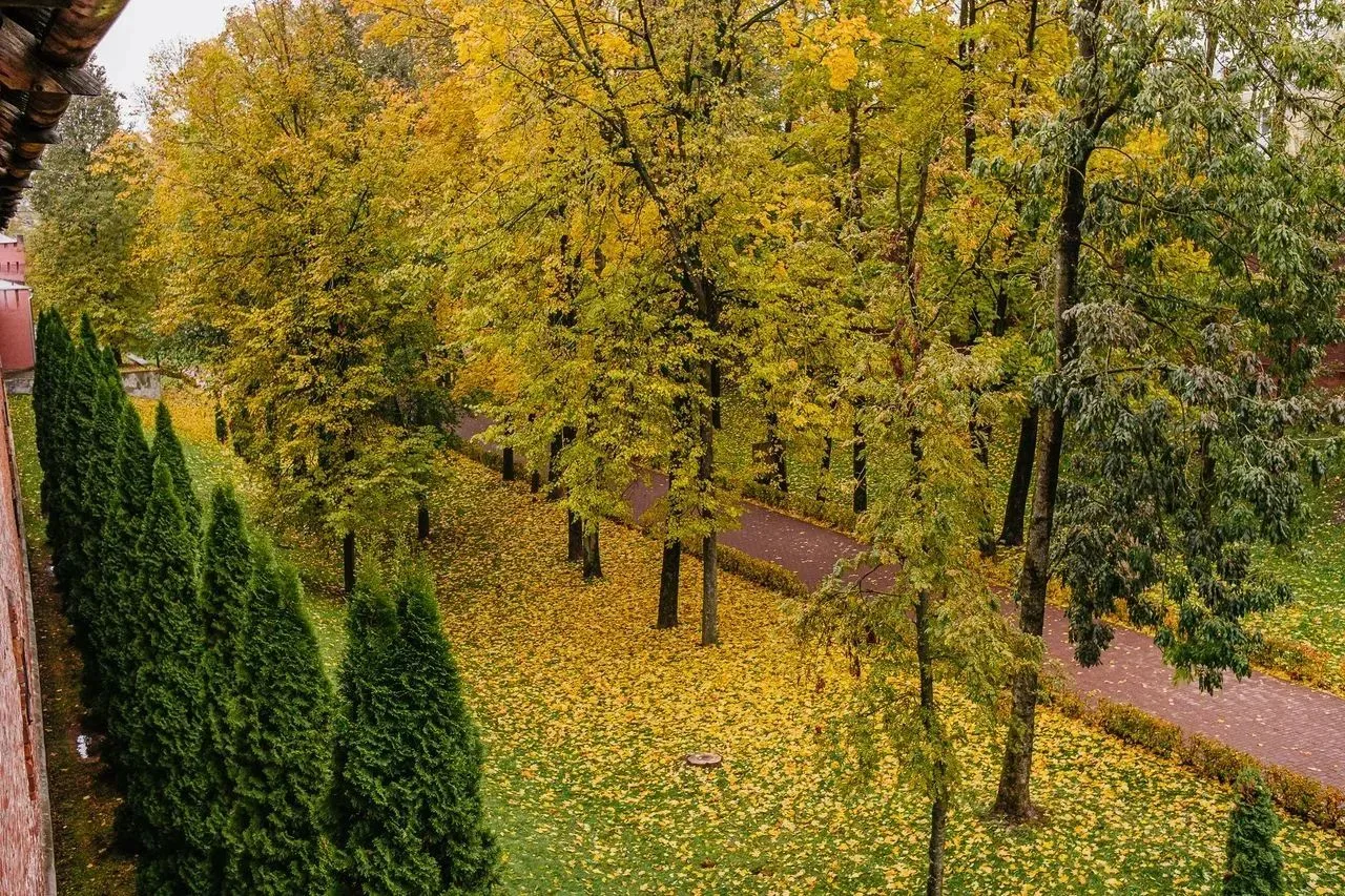 🌥️ Доброе утро, Сычевка и округа!