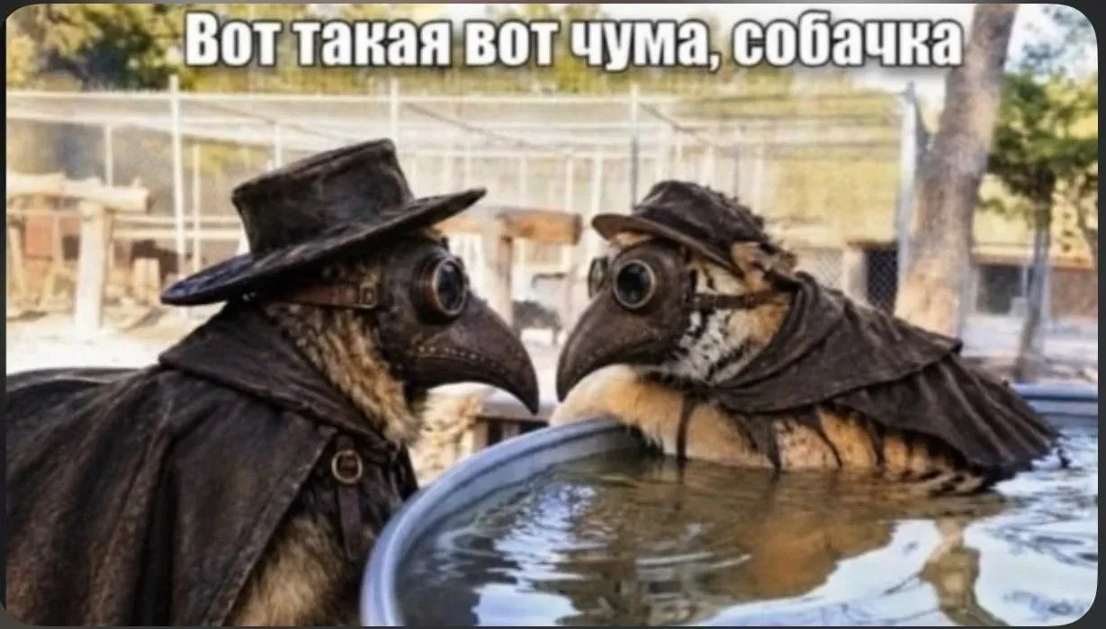 📛 БУДЕТ ЛИ ЧУМА?!