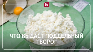 Творожная интрига: раскрываем секреты белого золота на полках магазинов