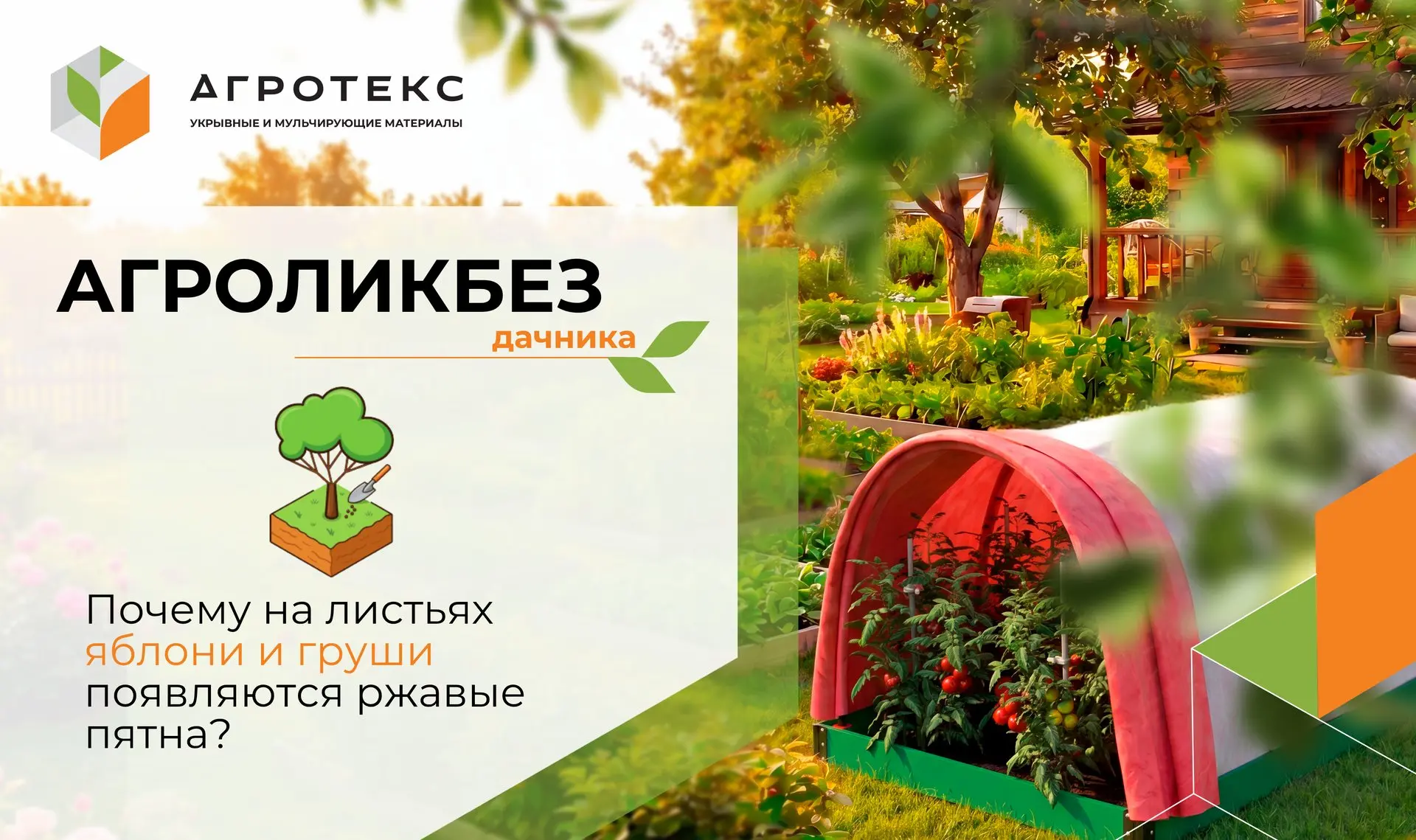 🌳 Такие пятна на листьях – это ржавчина. Её на деревья переносит ветер от можжевельник...