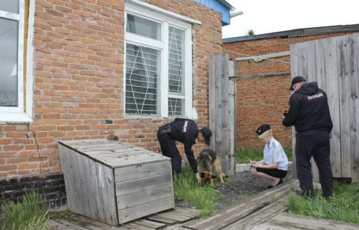 ⚡️ В Благовещенске женщина натравила овчарку на полицейскую