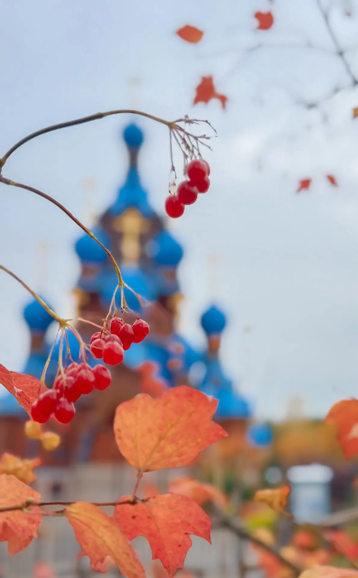 Преображающее слово