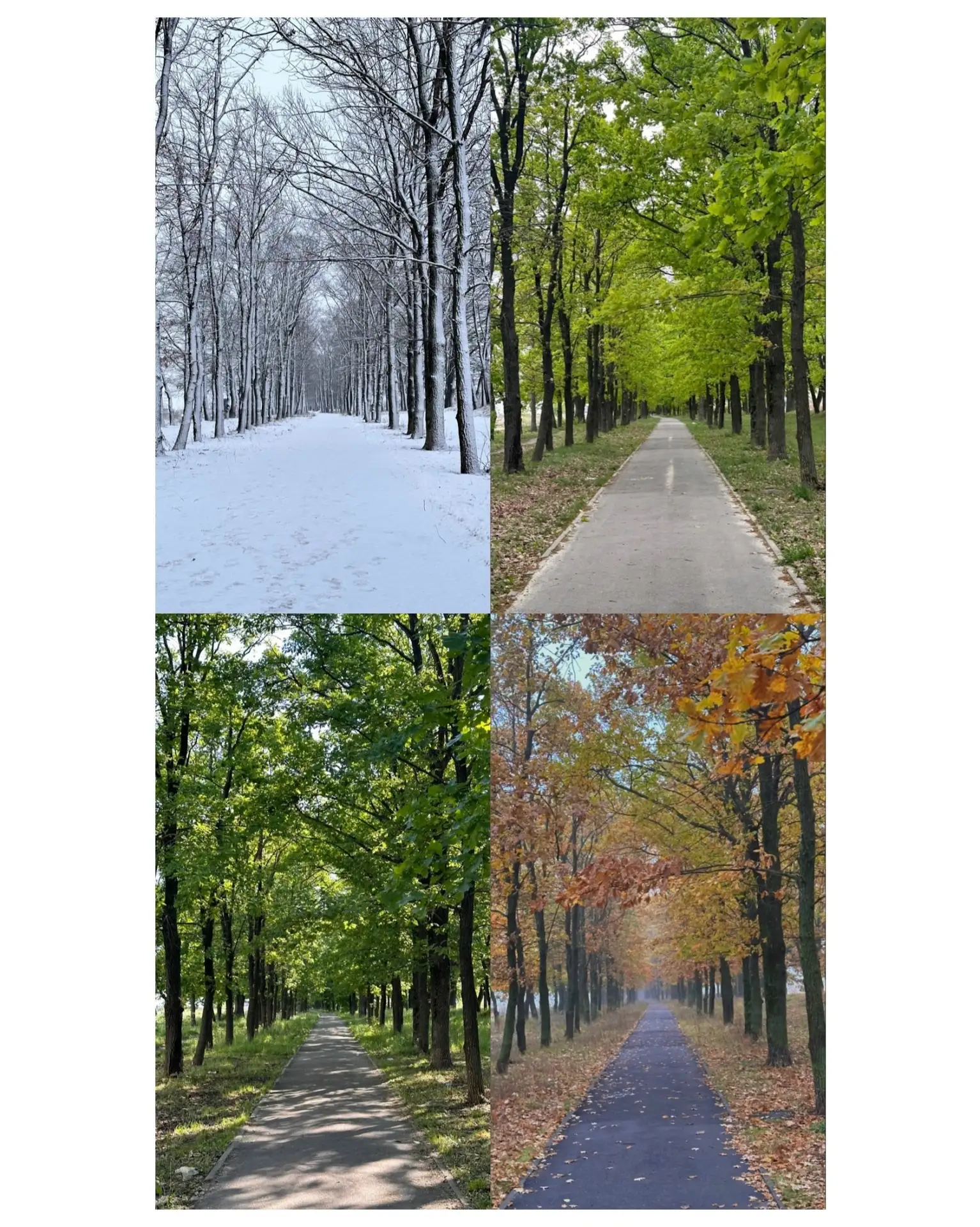 4 сезона.