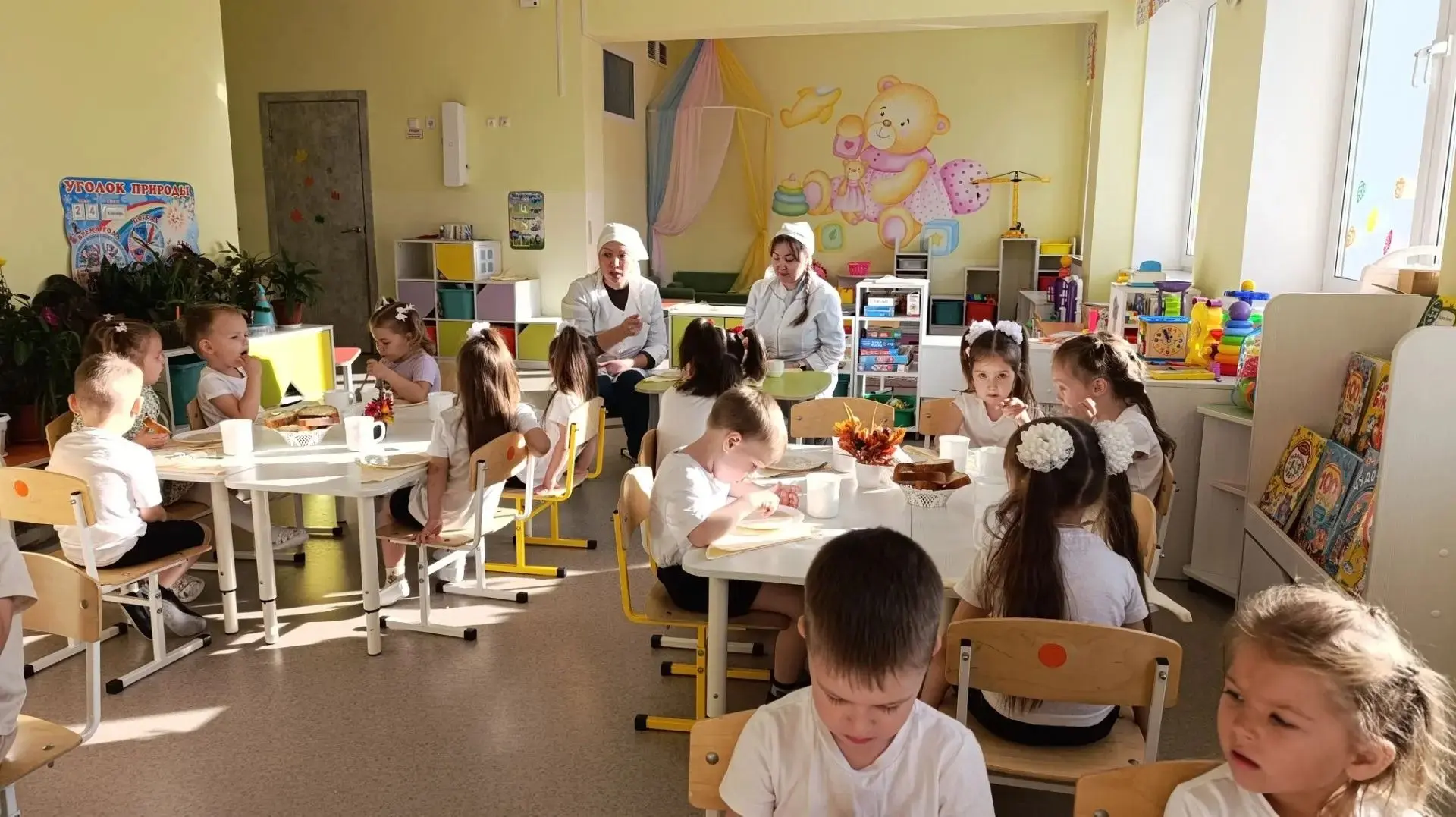 Родительский контроль за организацией питания в ДОУ.