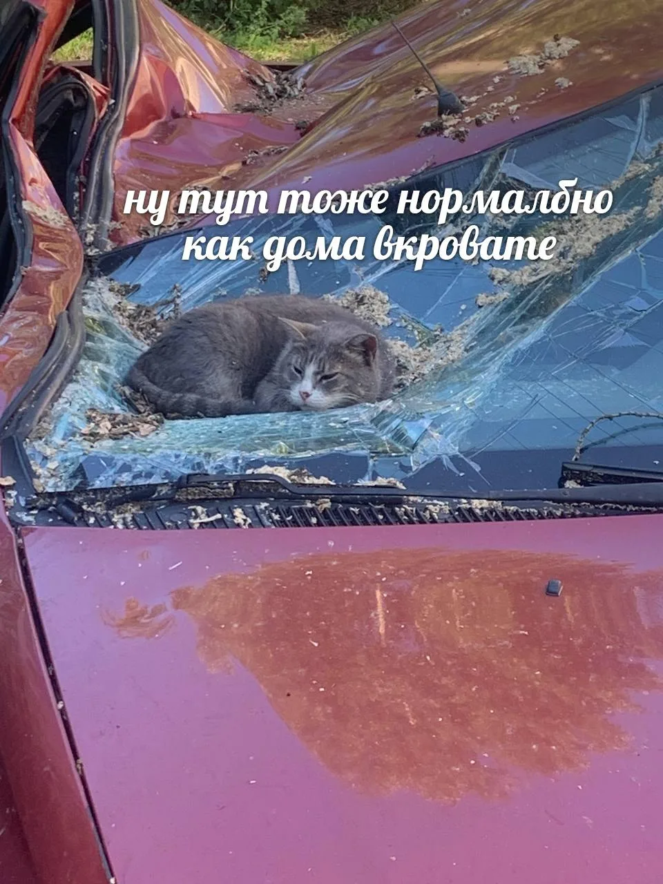 Мемы каждый день • Подписаться