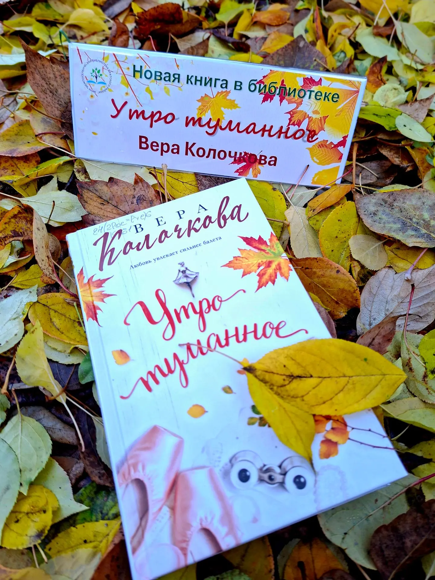 📙 Новая книга в библиотеке!