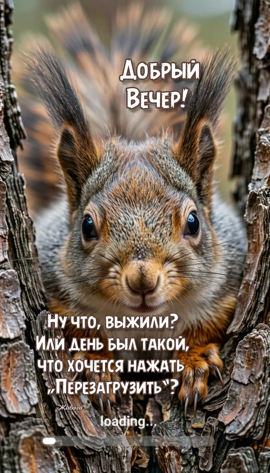 Добрый вечер❤