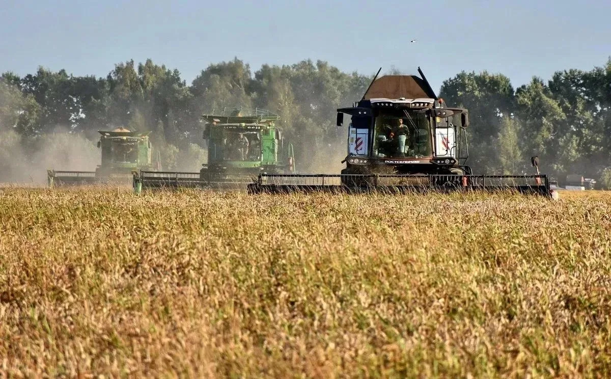 Рязанские аграрии продолжают заготовку кормов