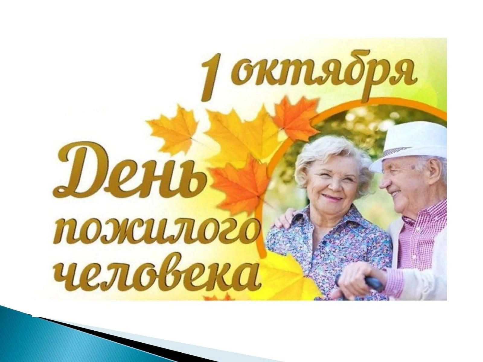 1 октября отмечается Международный день пожилых людей. Цель праздника – привлечь вниман...