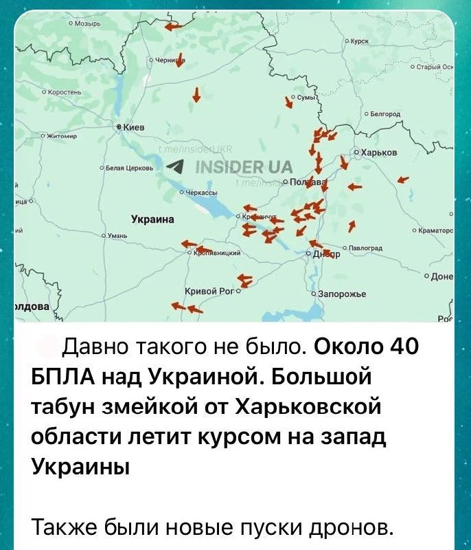 летит табун😄🤦‍♂️