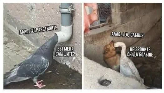 🤣