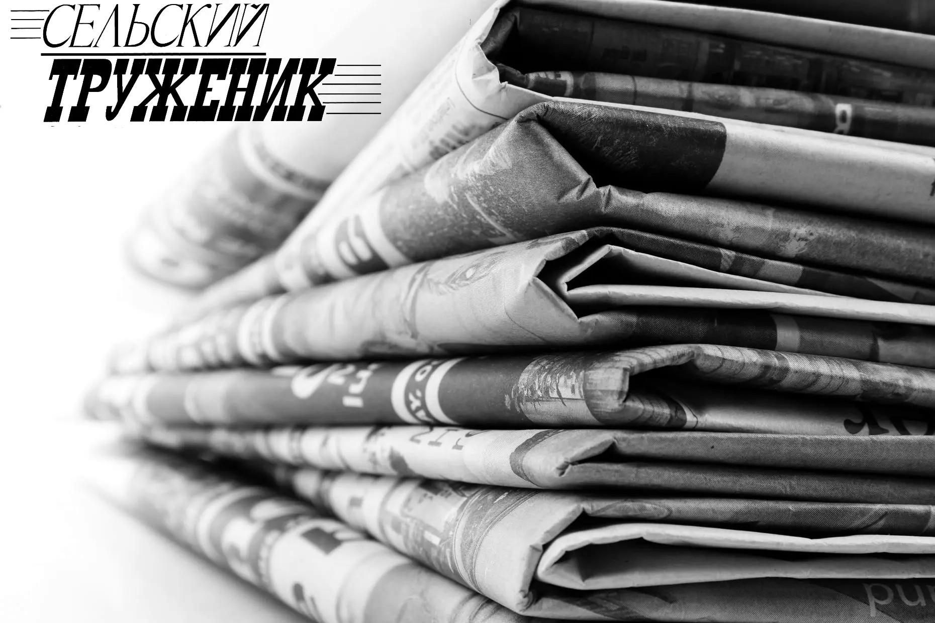 Дорогие наши коллеги, друзья, сотрудники газеты «Сельский труженик»!