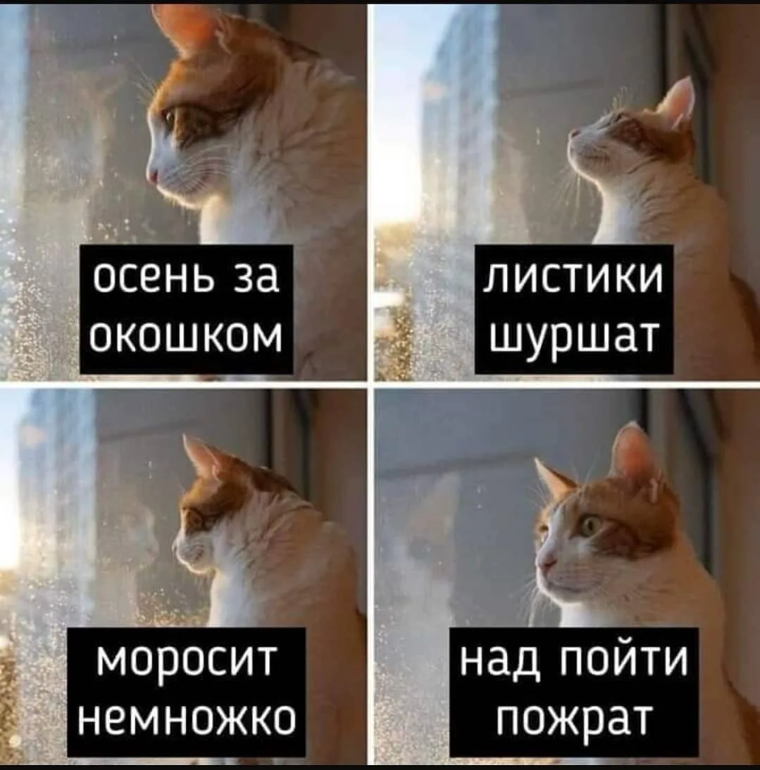 Ловите чудную поэзию в этот осенне-зимний день ❄️🍂