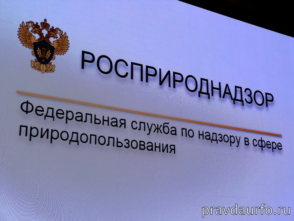 «Водный союз» обвинили в загрязнении воздуха Кургана.