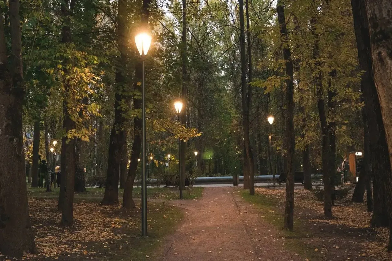 💡 Уютный вечер в «Швейцарии»