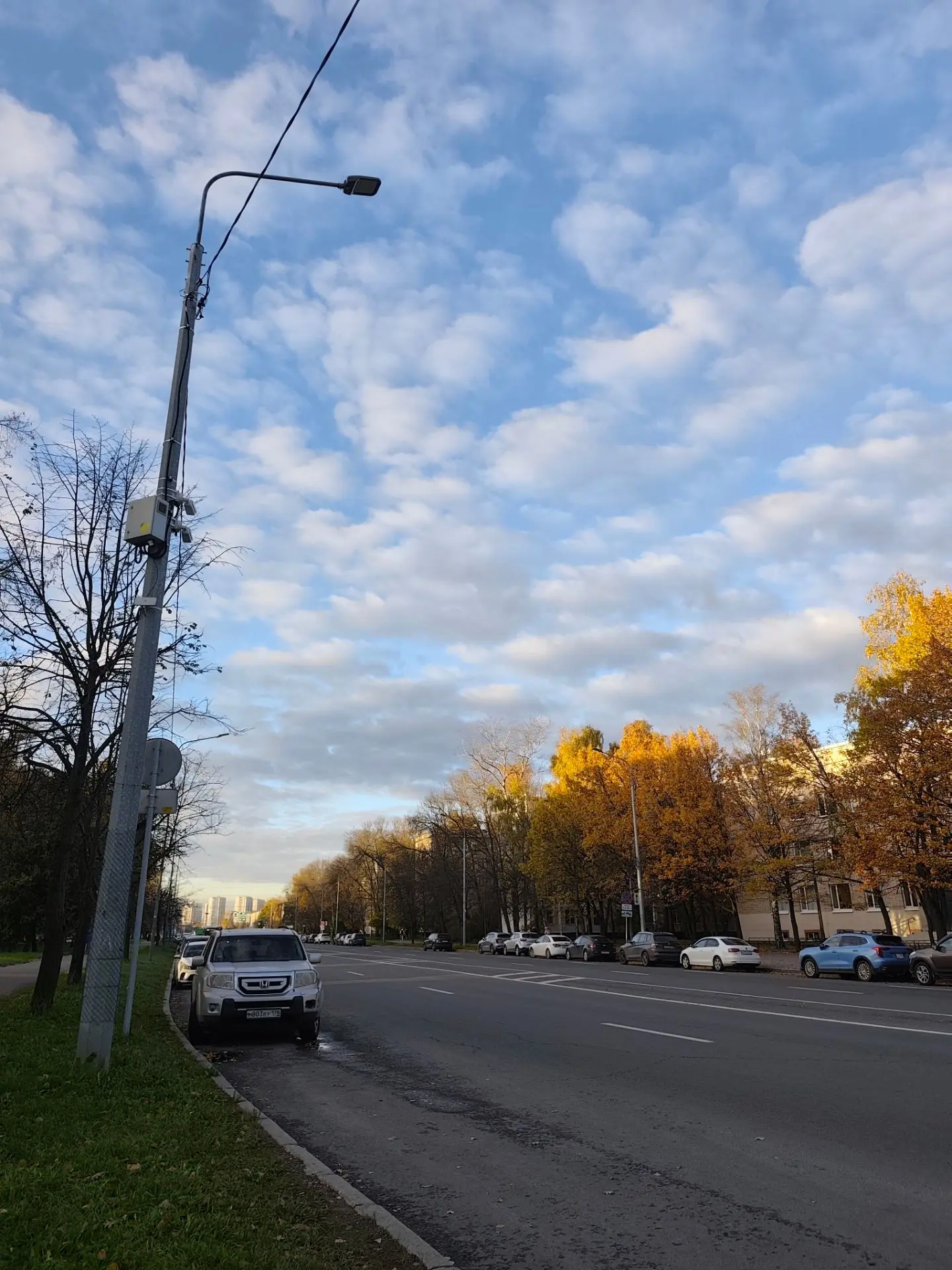 Доброго дня друзья☀️