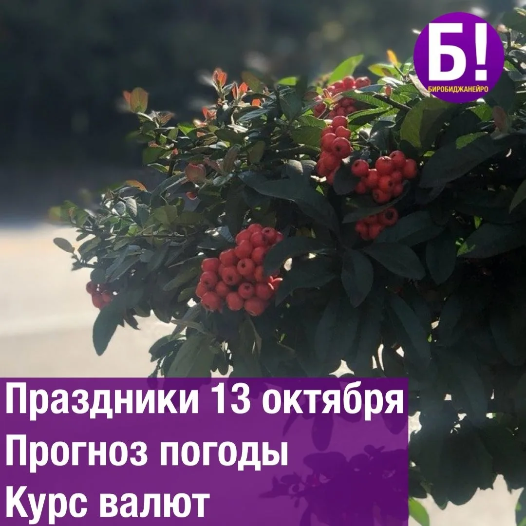 💻 День инфобизнесмена