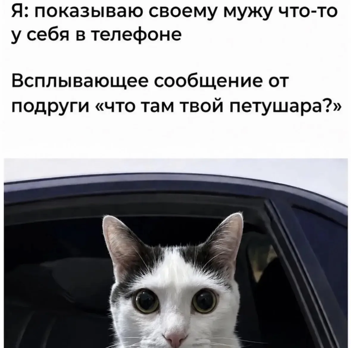 Ой