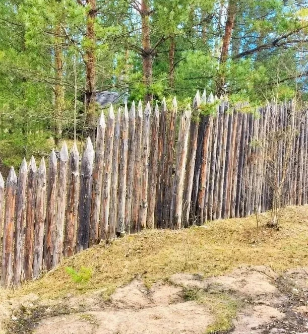 🌲 В Брянской области снесут забор, перекрывший людям доступ к озеру и лесу
