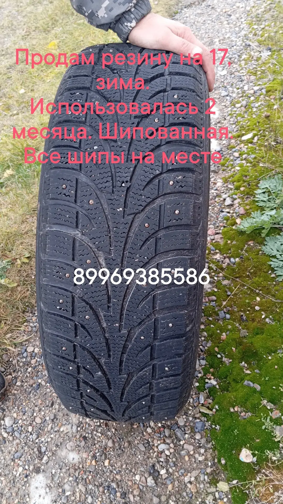 Купи/Продай Колпашево в Макс👍