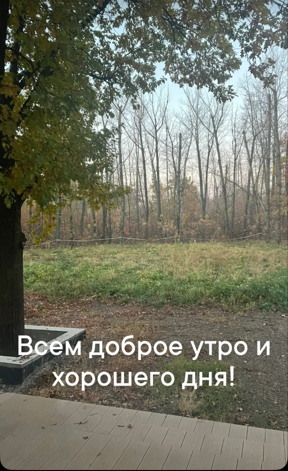 У меня в планах на сегодня много работы, тренировка, дела бабушки и домашние дела.
