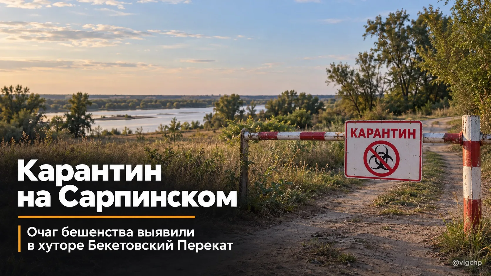 На части острова Сарпинский ввели двухмесячный карантин из-за выявленного очага бешенства.