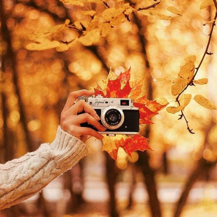 🍂 Фотоконкурс «Яркие моменты осени»!