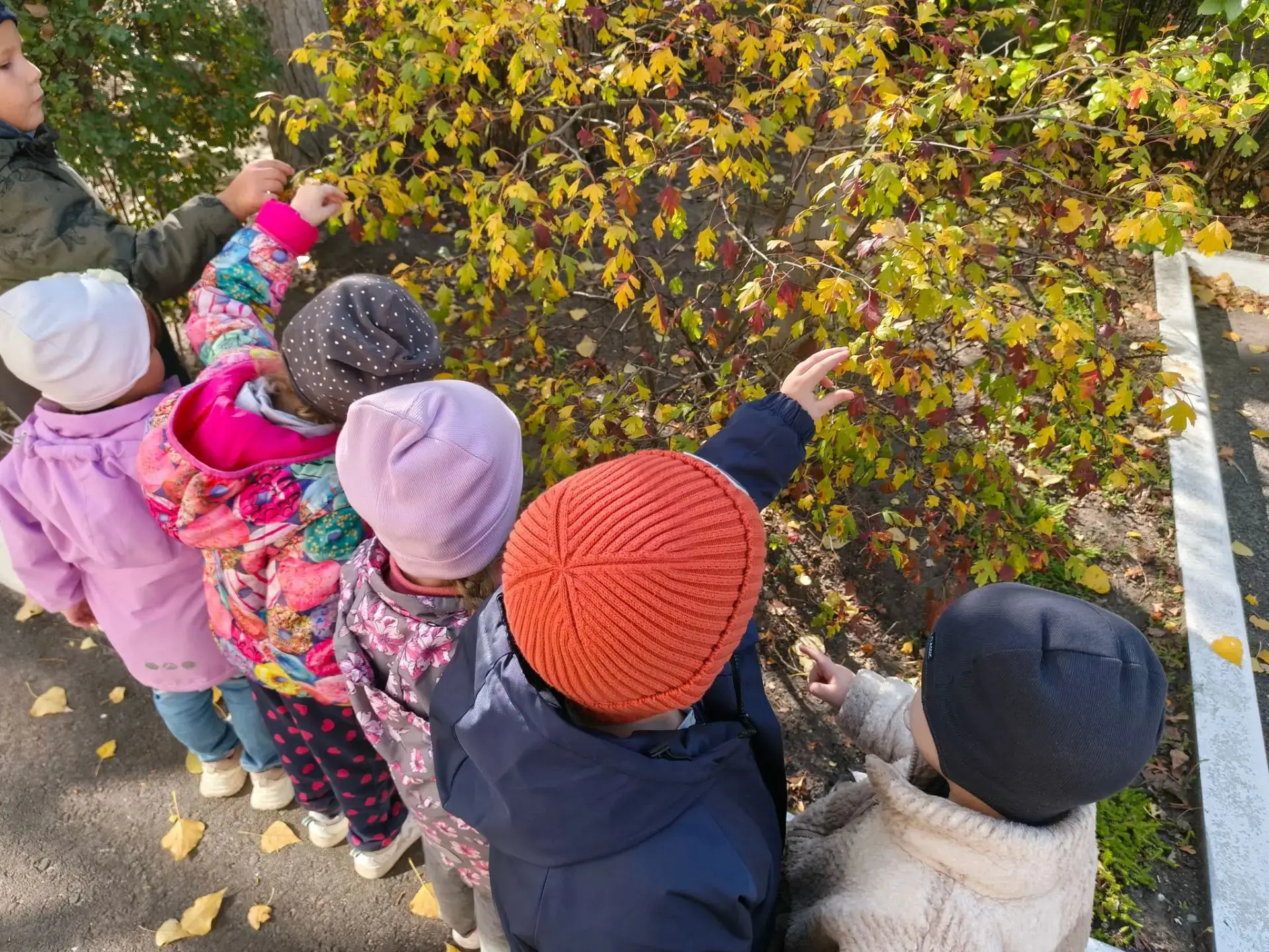 09.10.26г 🍁 Золотая осень в комбинированной группе «Рябинка»! 🍁