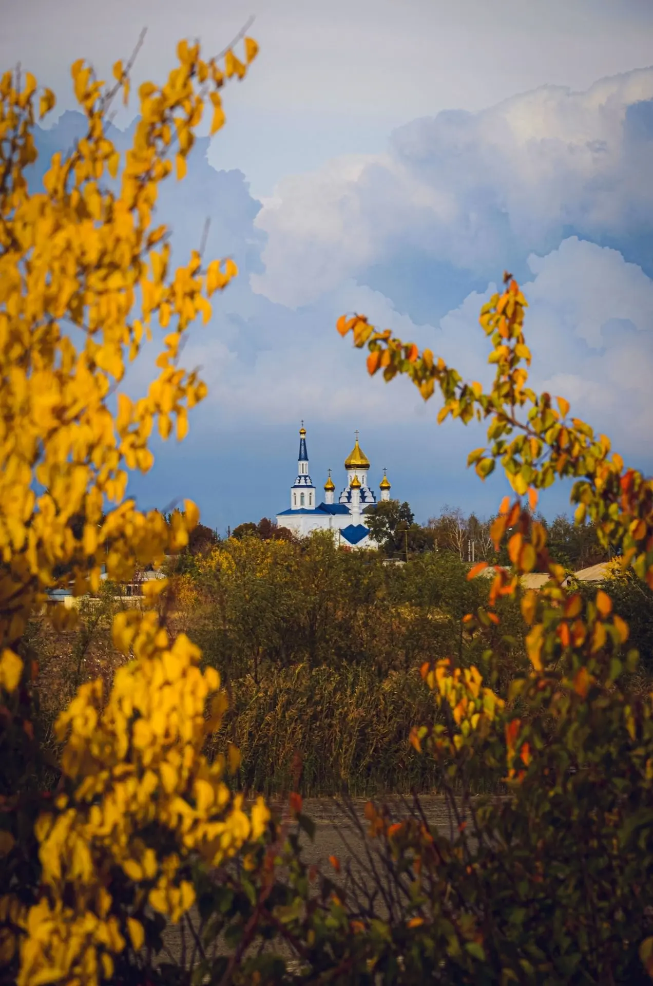 📸 «Фотография дня» — дарим вам кусочек уюта и красоты!