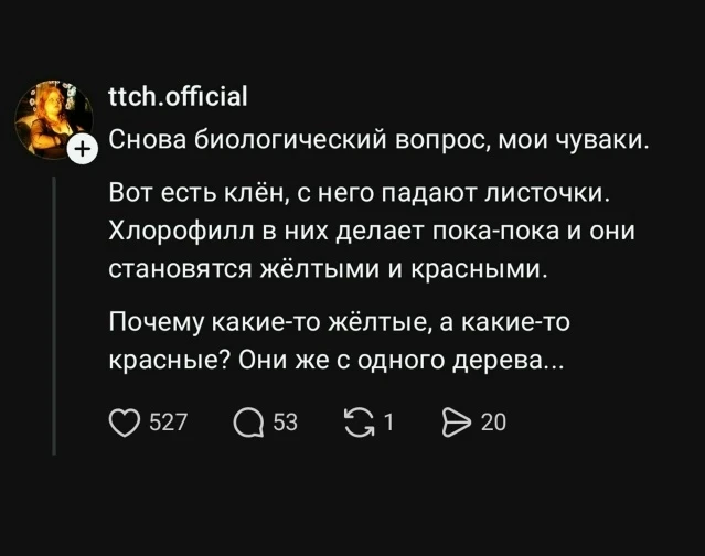 БОРЩ познавательный