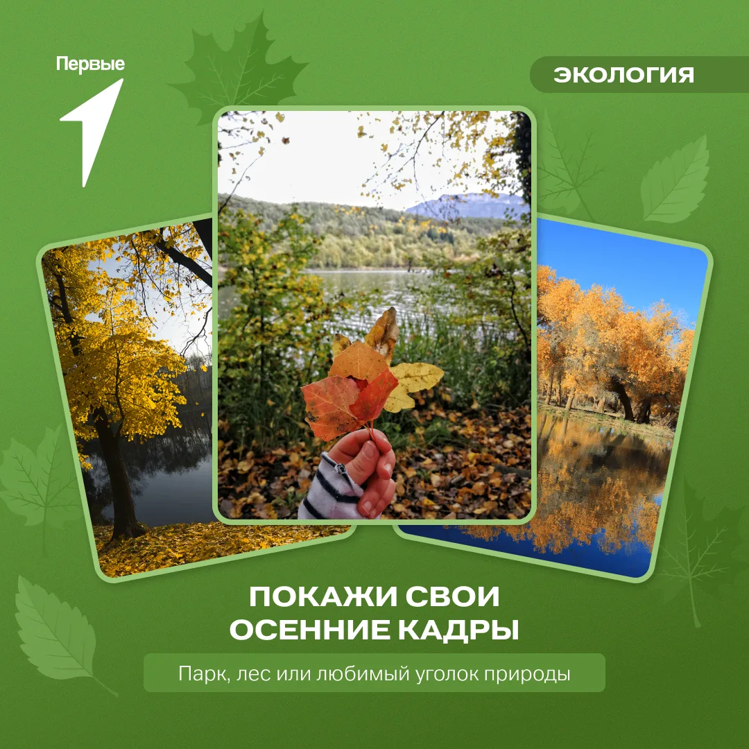 🍁 Покажи место, где увидел осень во всей красе!