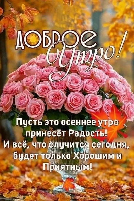 Загляни и в другие наши каналы