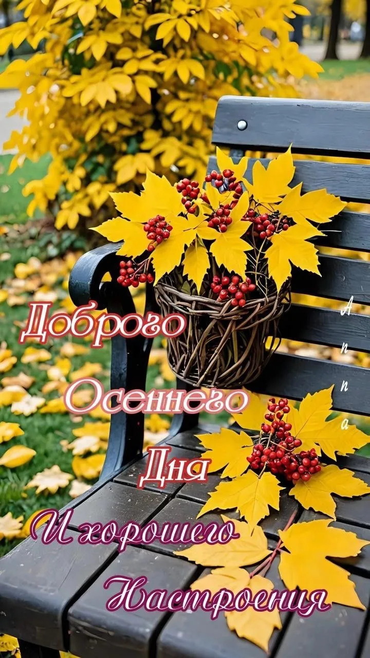 Красивые открытки❤️