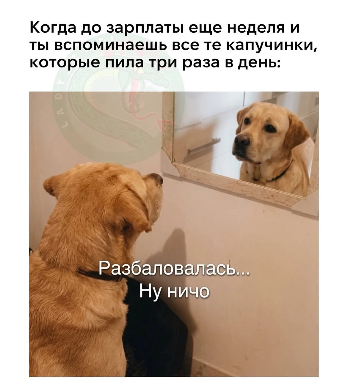 Дурилка картонная