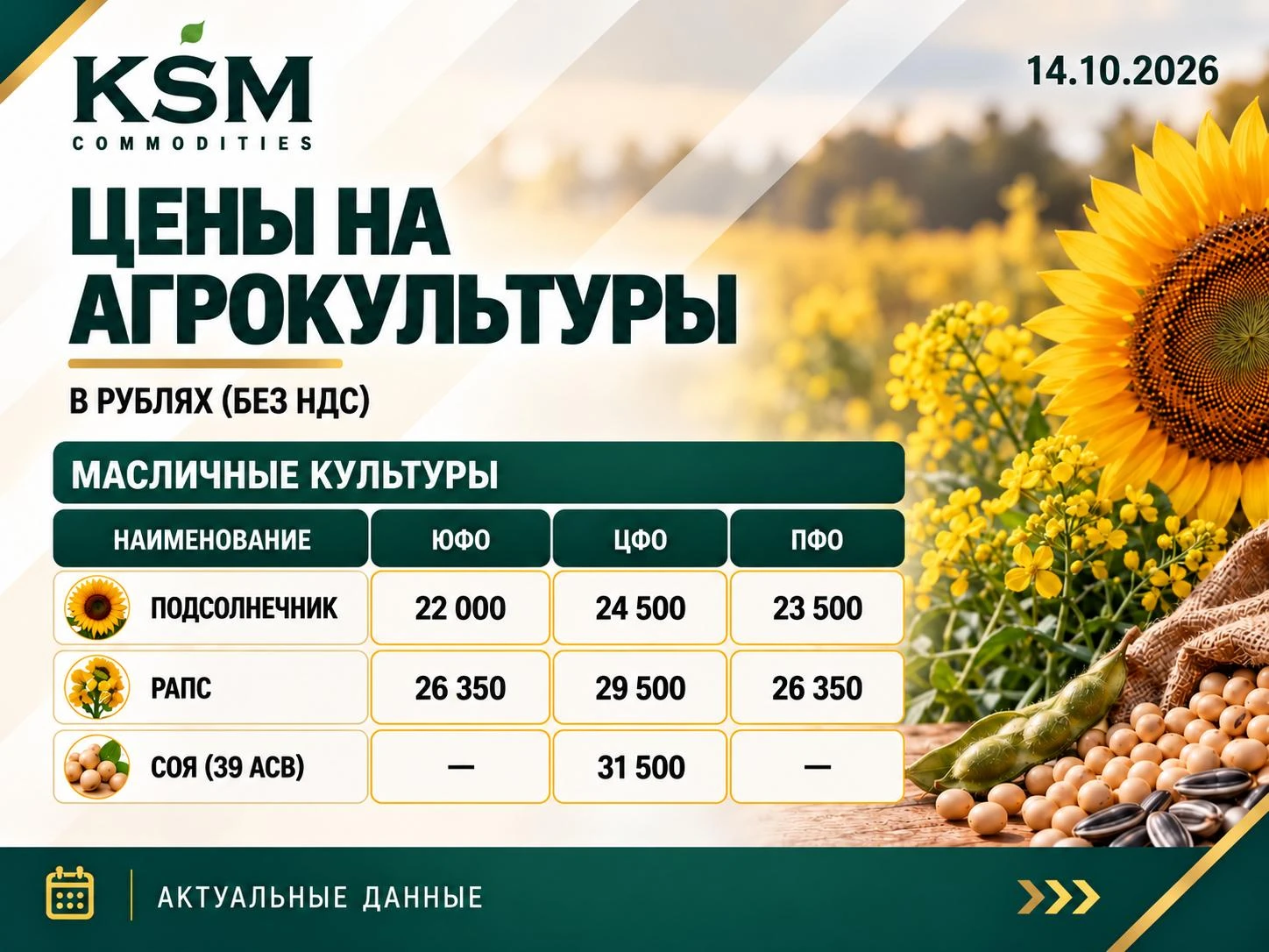 🌻Масличные культуры