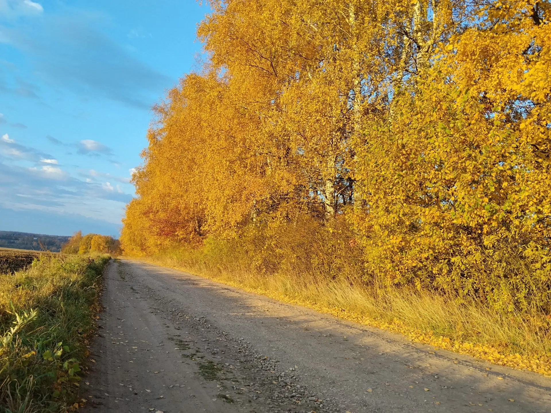 😍Просторы Ясногорского района