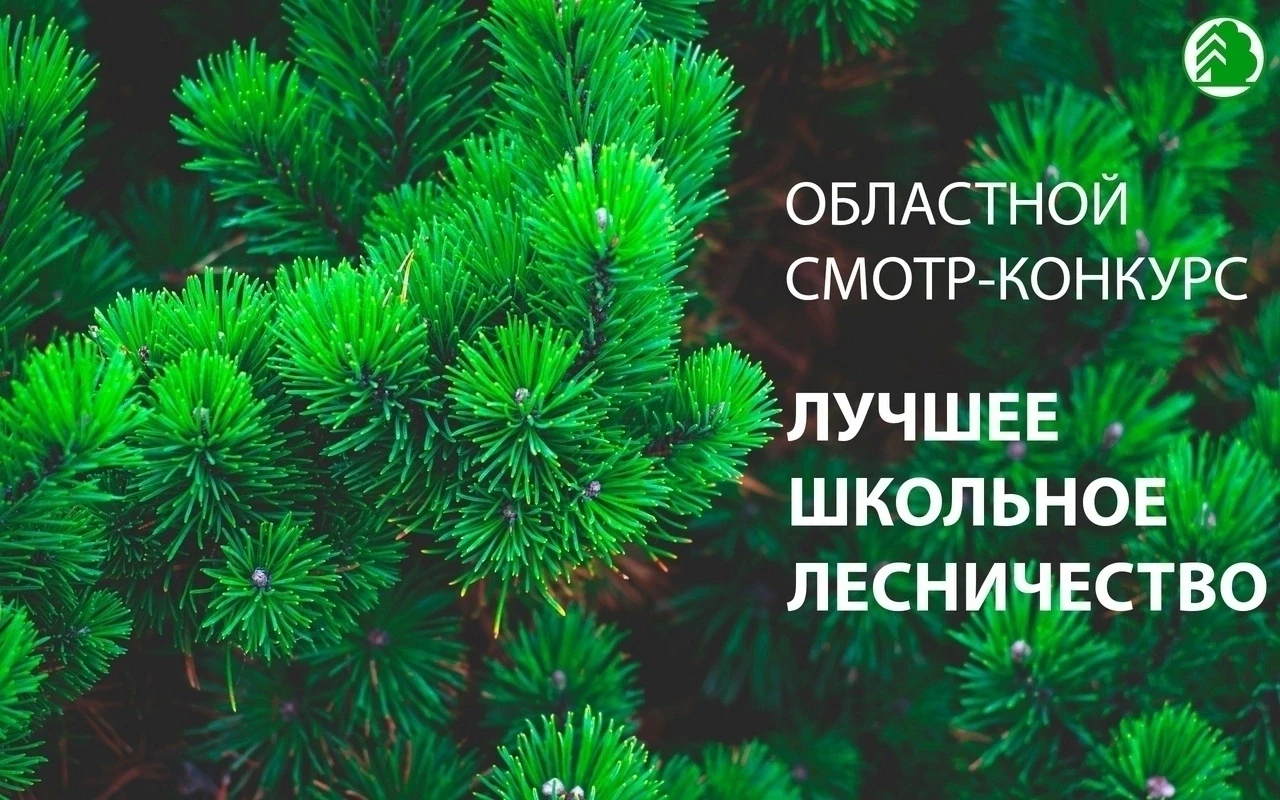 🌲🌲🌲Подведены итоги областного заочного смотра-конкурса «Лучшее школьное лесничество»!