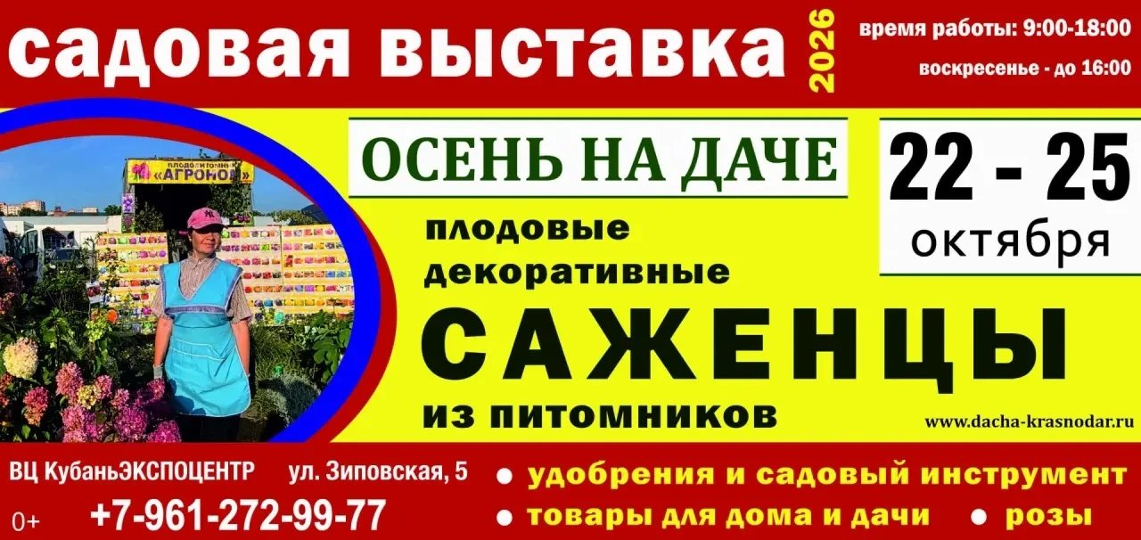 Запоминаем даты ✅✅✅