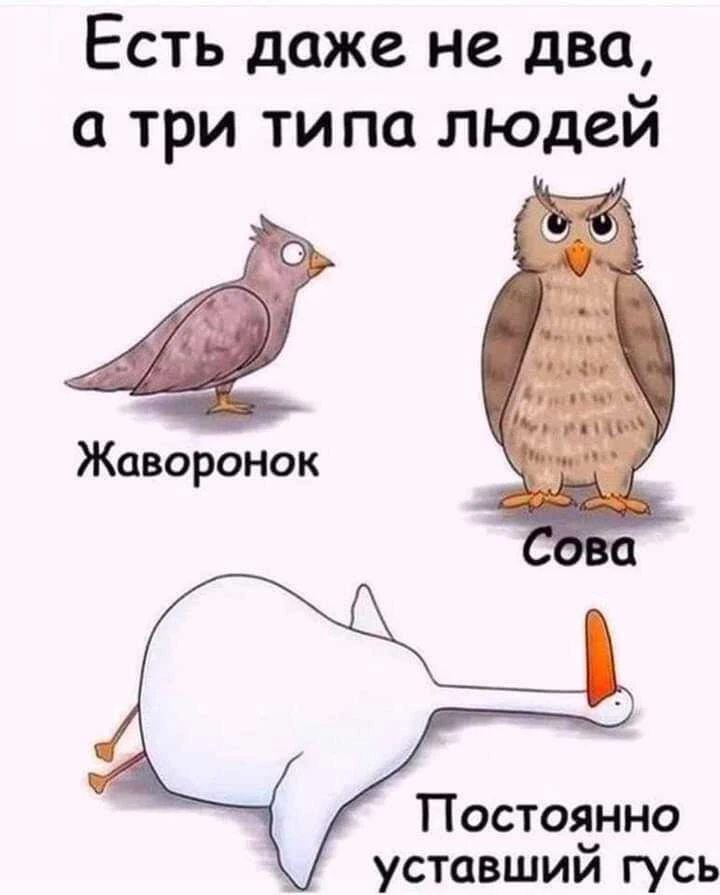 😅😅 А кто ты?) Пишем в комментах