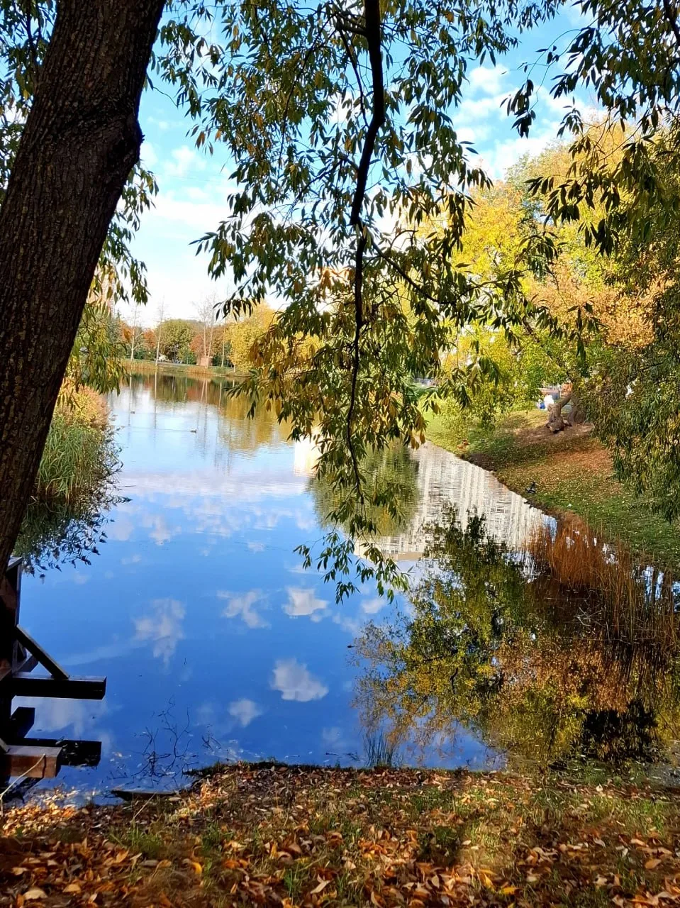 На природе отдых ощущается совсем по-другому 🌿