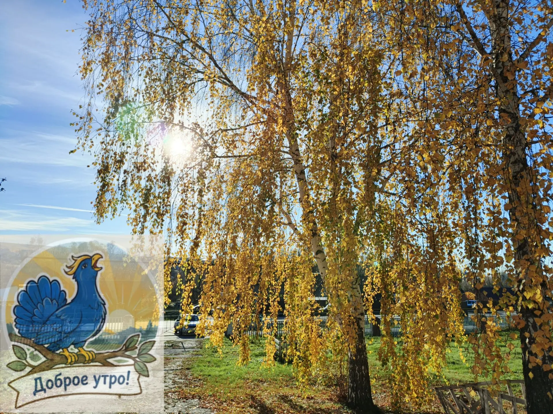 Доброе утро, Исаклинский район!