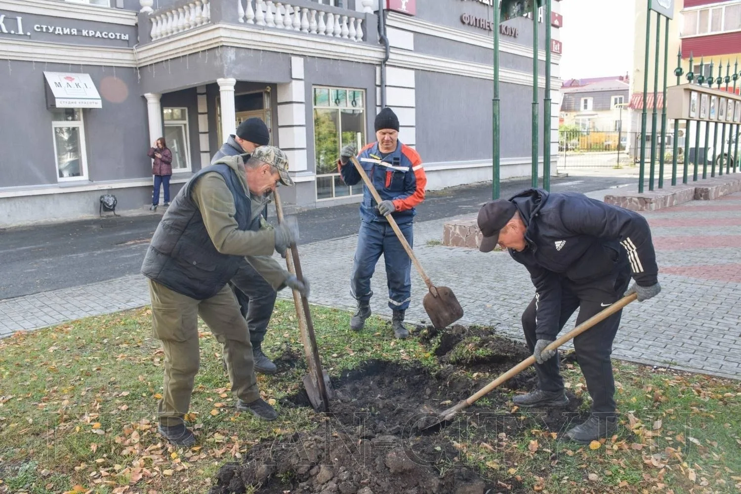 В Кургане продолжается осенняя озеленительная кампания. Сегодня на центральных улицах К...