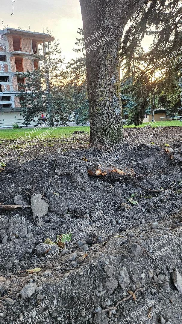 Обращение jalinagf: