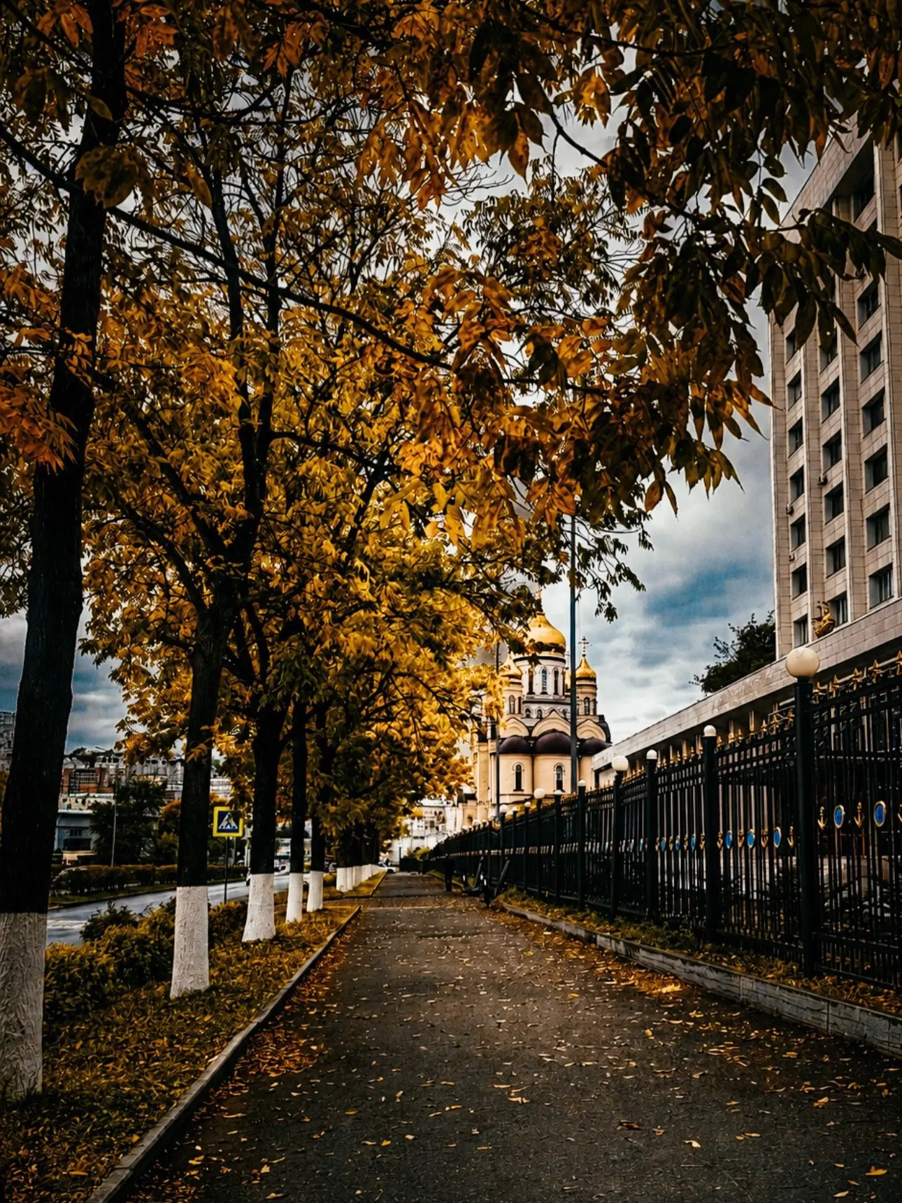 🌤️⛅️ Доброе утро, Владивосток! Сегодня, 12 октября, во Владивостоке небольшая облачнос...