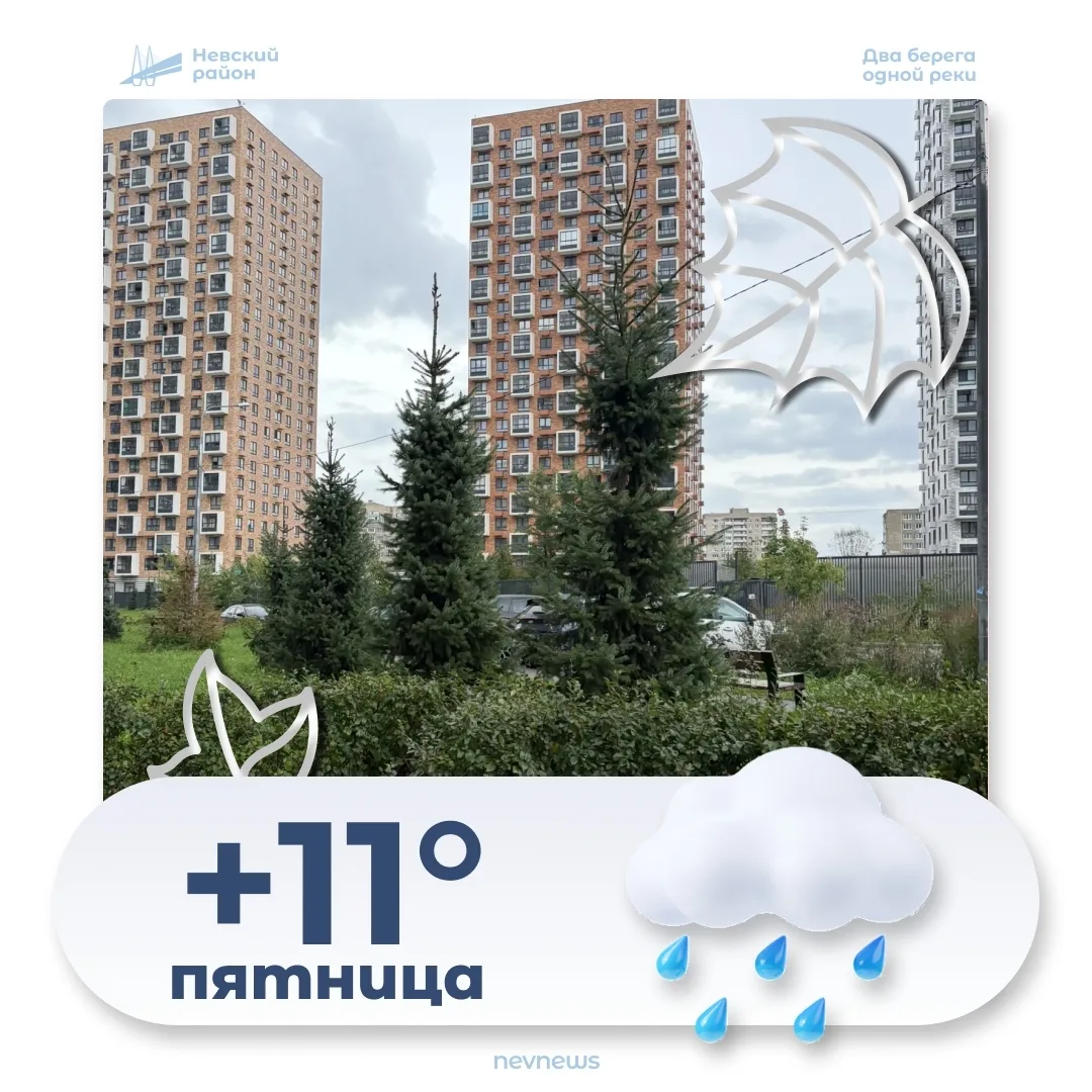 Сегодня, 9 октября, в Невском районе ожидается пасмурная погода. Температура днём около...