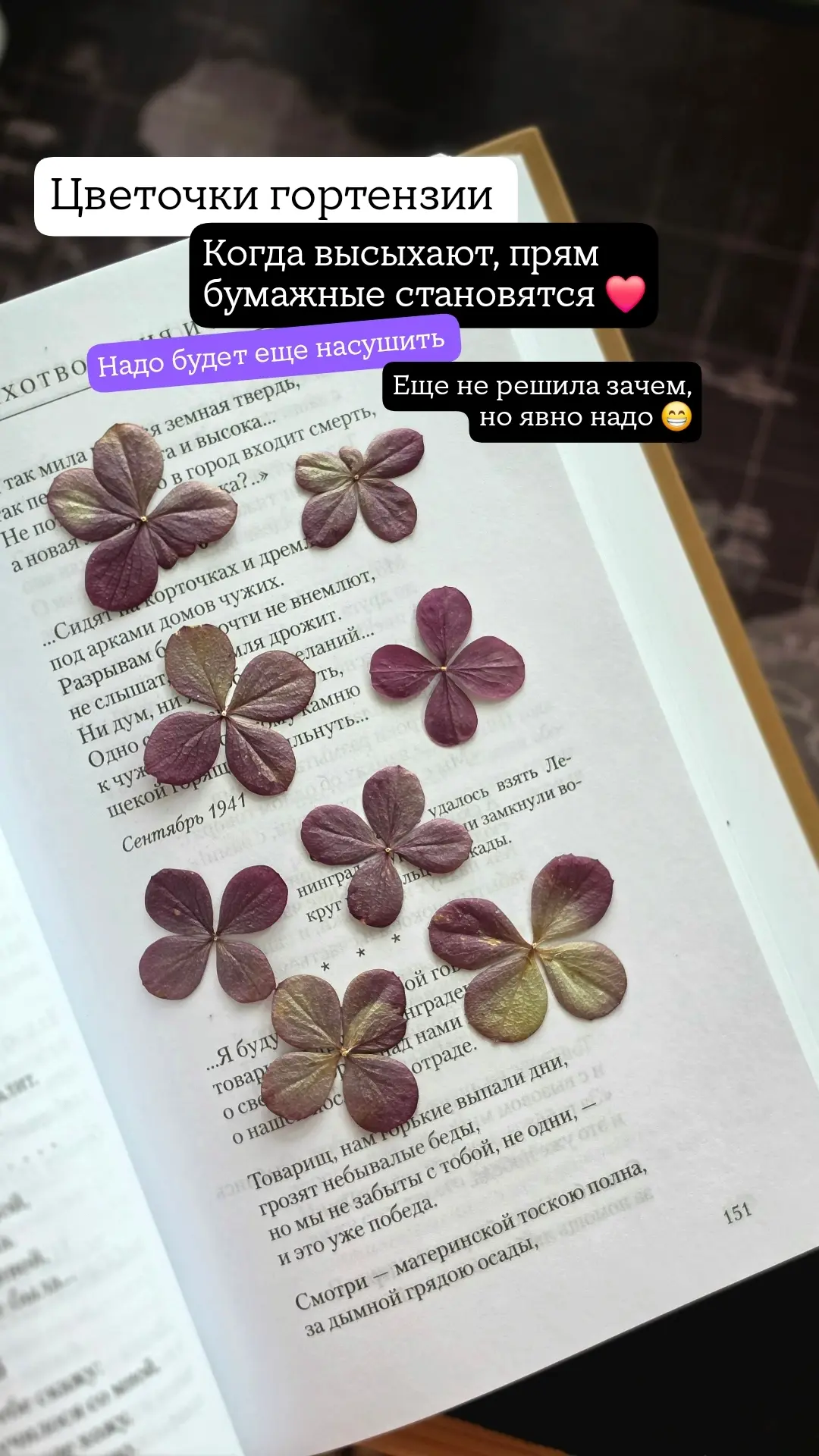 Попробовала засушить цветочки гортензии в книге. Получается классно 😊